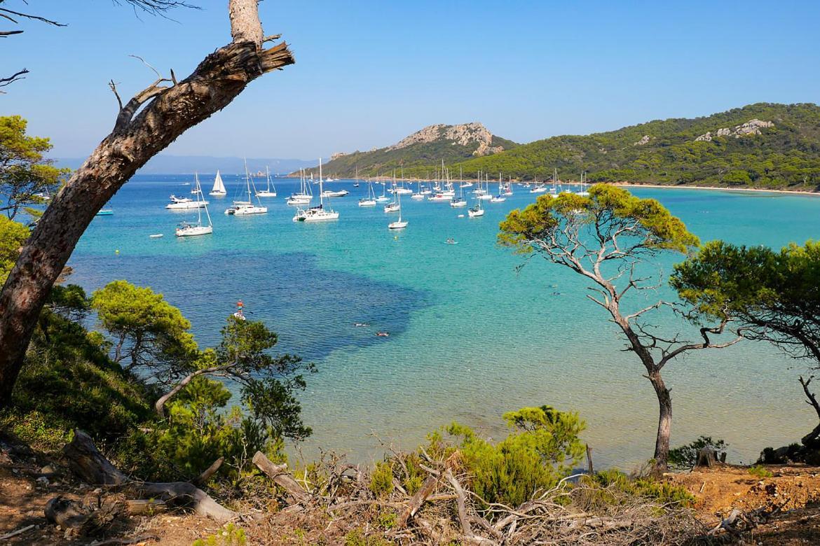 Superbe Logement Au Bord Des Plages Toulon Kültér fotó