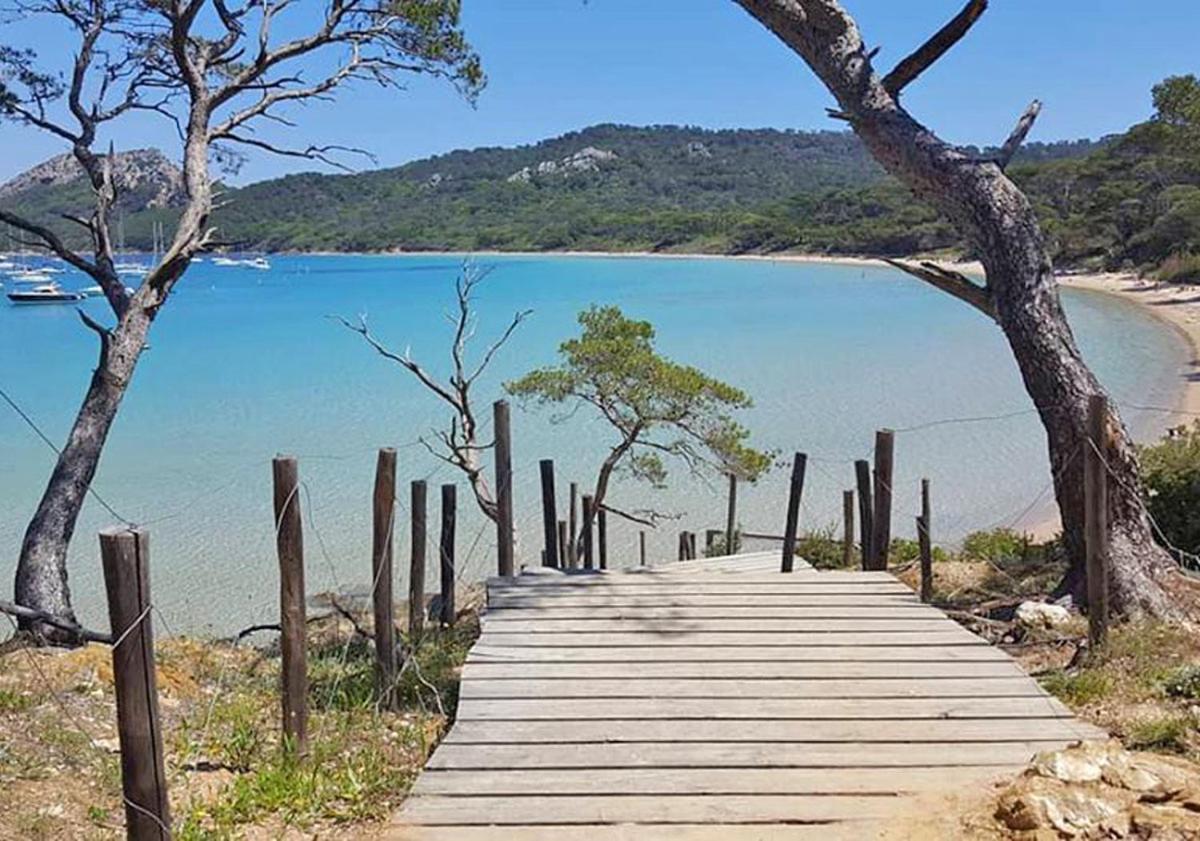Superbe Logement Au Bord Des Plages Toulon Kültér fotó