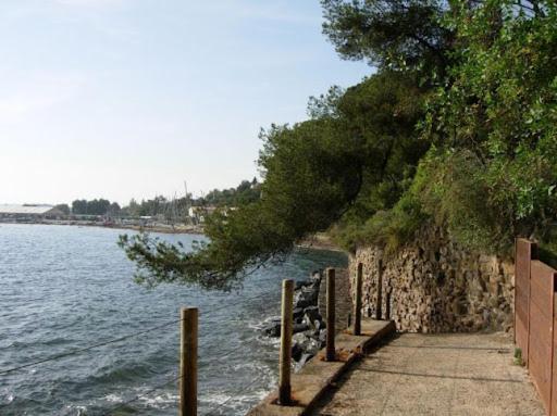 Superbe Logement Au Bord Des Plages Toulon Kültér fotó